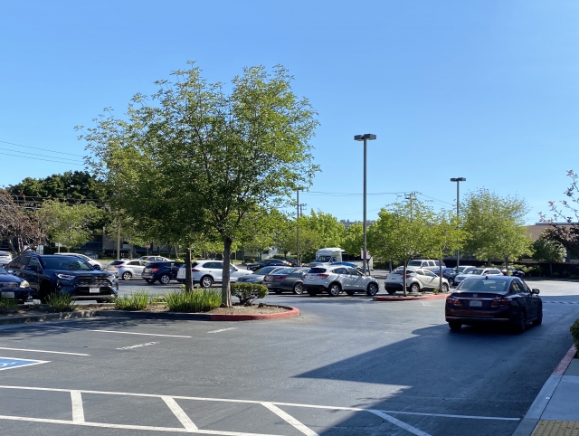 ペーパードライバー講習 駐車場